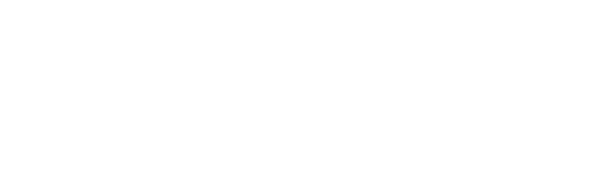 RoadTec by IKON Enterprises logo